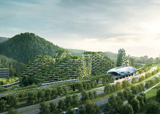 اولین شهر جنگلی با بیش از یک میلیون گیاه در چین