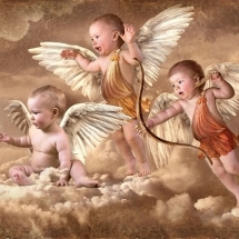 angels-فرشته ها (69)