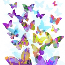 butterfly-پروانه (123)