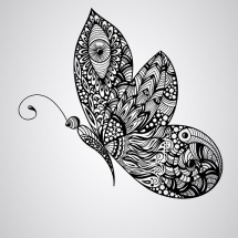 butterfly-پروانه (17)