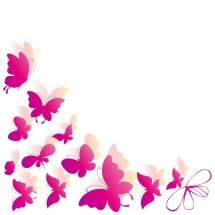 butterfly-پروانه (34)