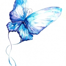 butterfly-پروانه (40)