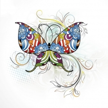 butterfly-پروانه (80)