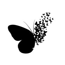 butterfly-پروانه (89)