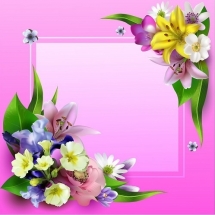 flower-گل (364)
