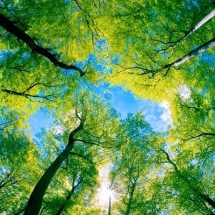 nature-طبیعت (152)