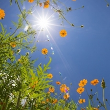 nature-طبیعت (179)