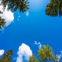 nature-طبیعت (202)