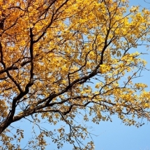 nature-طبیعت (210)