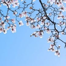 nature-طبیعت (283)