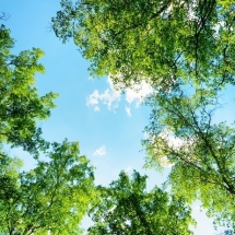 nature-طبیعت (317)
