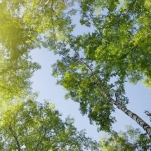 nature-طبیعت (319)