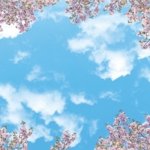 nature-طبیعت (412)