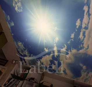 مشهد سقف کشسان لابل