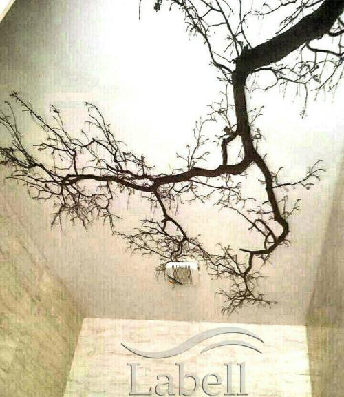 سقف کشسان طرح درخت سقف کشسان شیراز