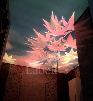 سقف کشسان سنندج